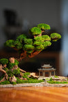Greenwood - A Path in the East (Preserved Plants)