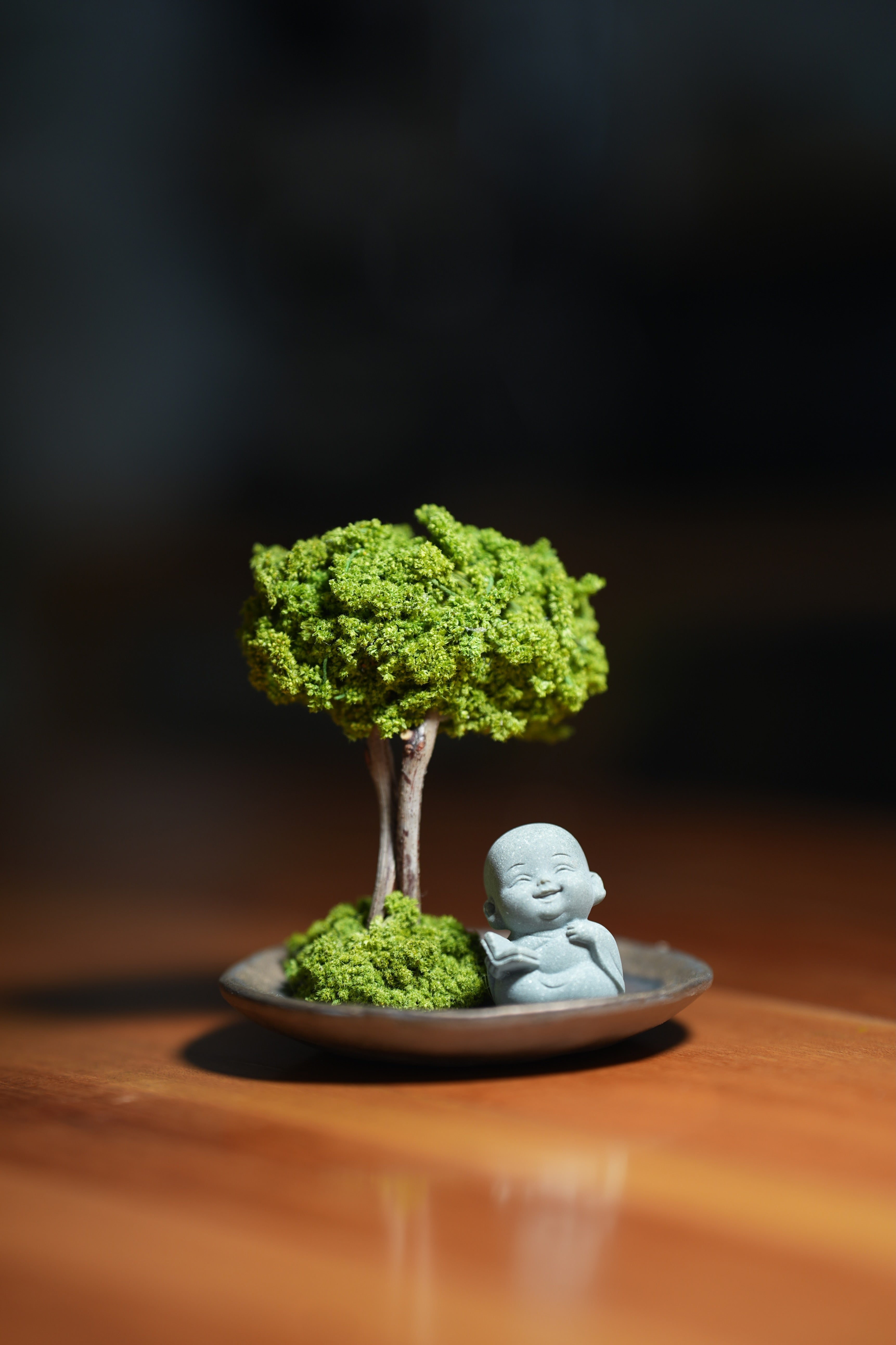 A Small Tree in the East - Journeyman