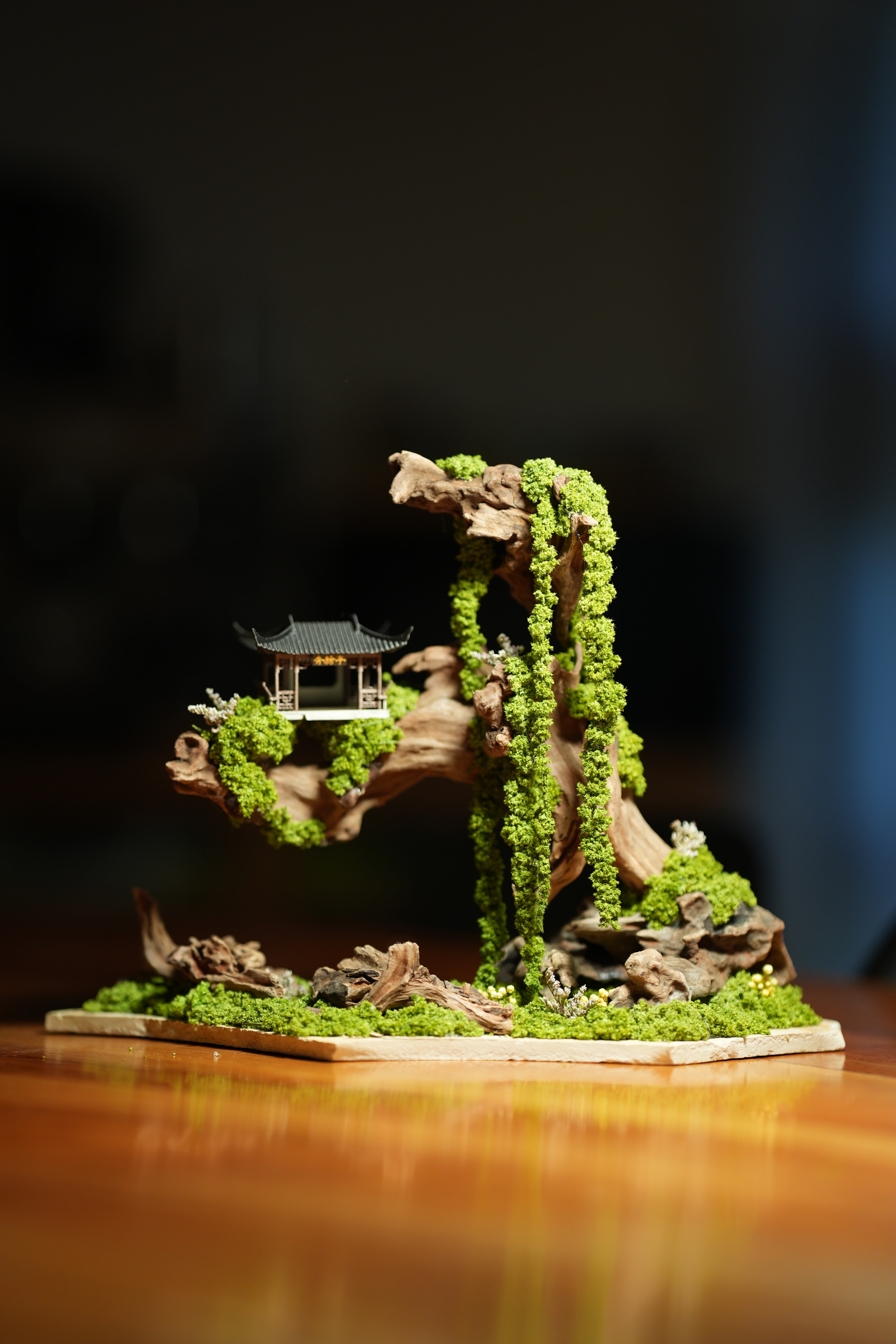 Blackwood Cliff
