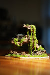 Blackwood Cliff