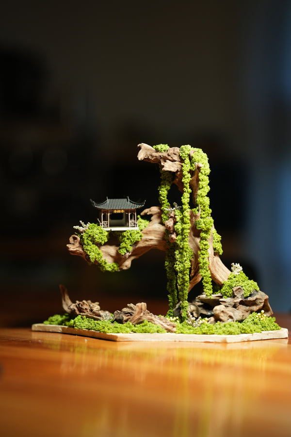 Blackwood Cliff