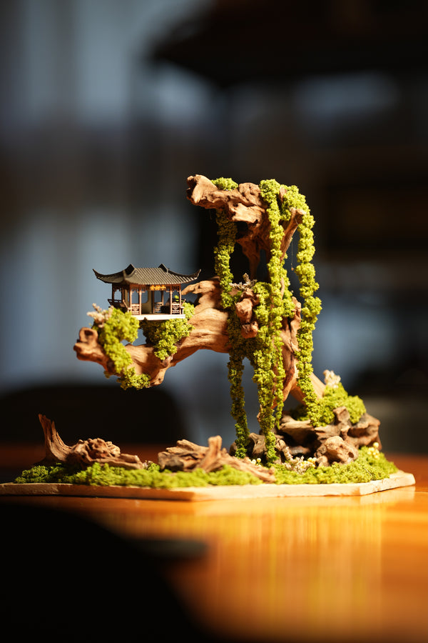 Blackwood Cliff