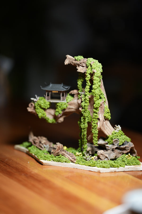 Blackwood Cliff