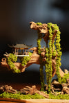 Blackwood Cliff