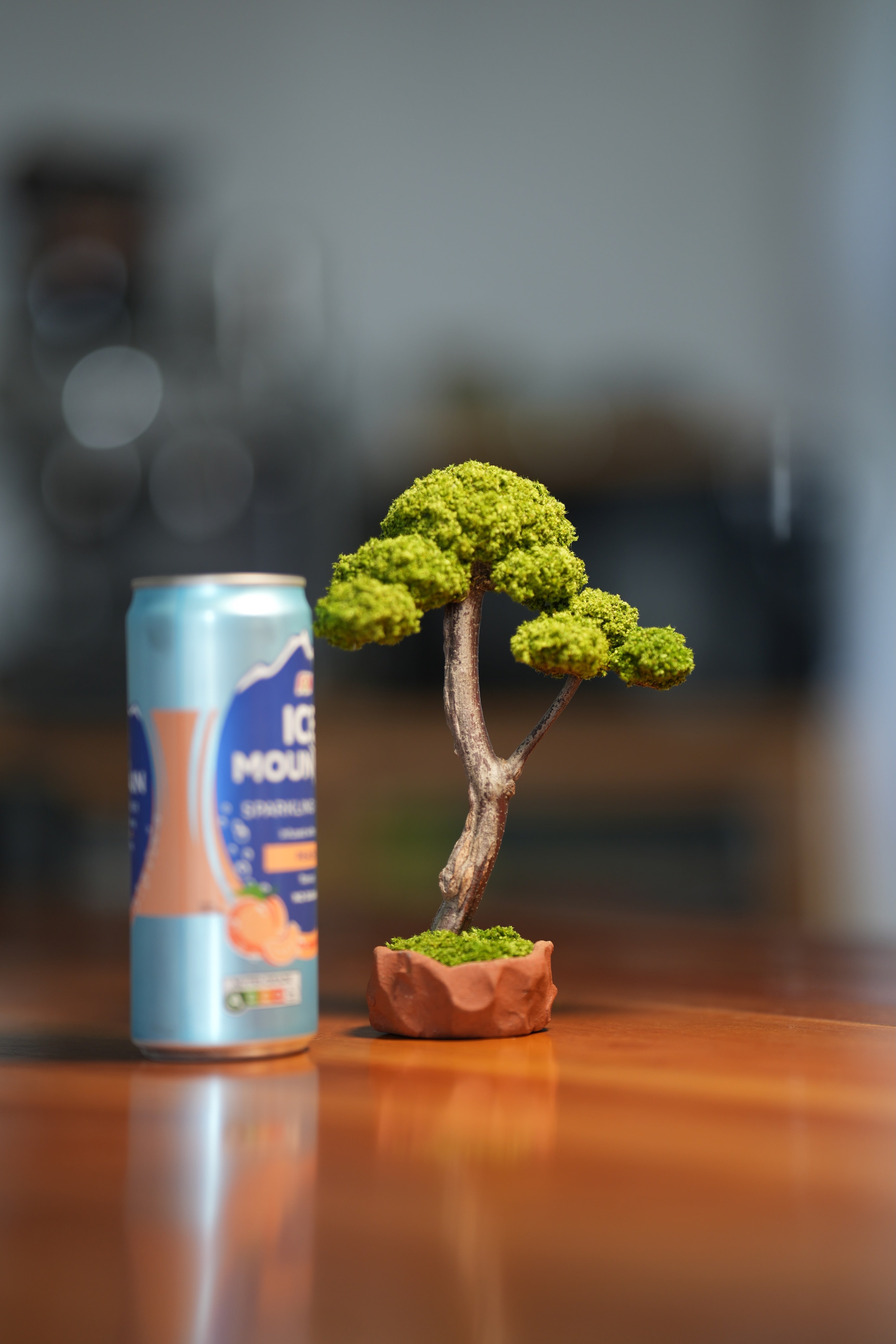 Small Tree in the East - Canopy