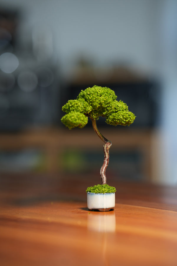 Small Tree in the East