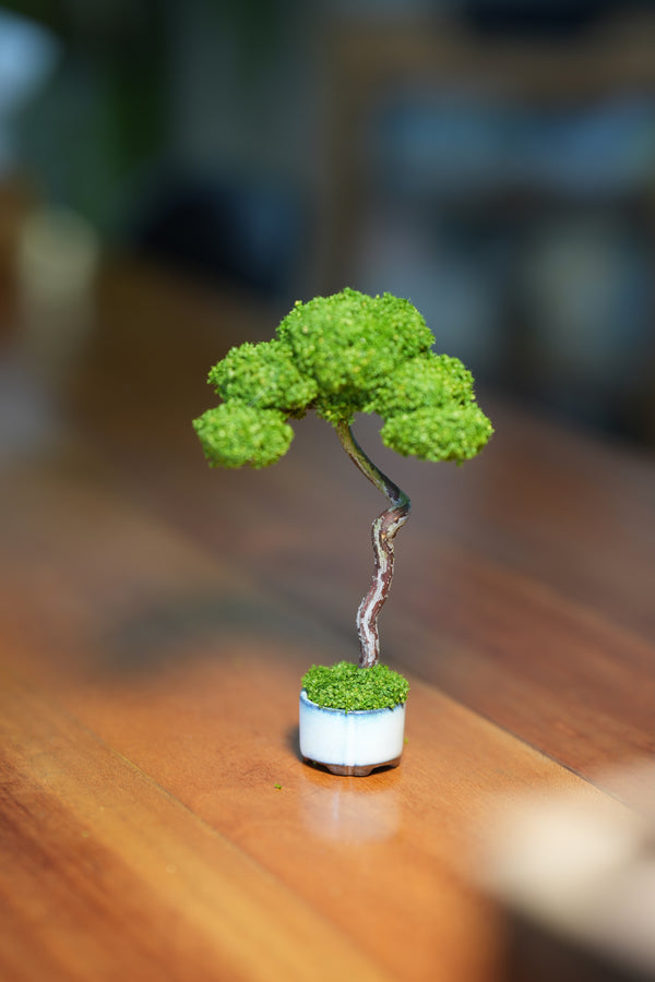 Small Tree in the East