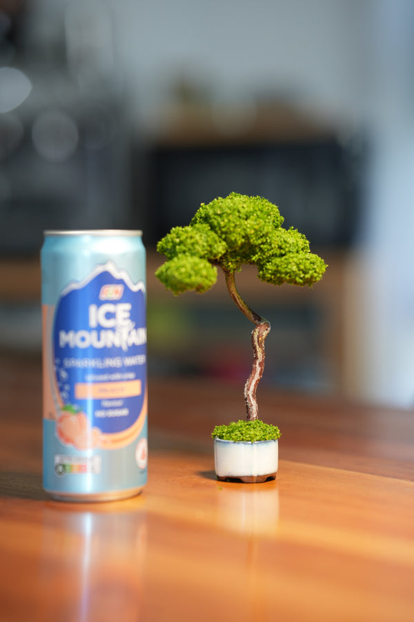 Small Tree in the East