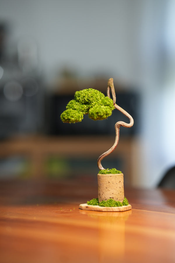 Small Tree in the East - Grace
