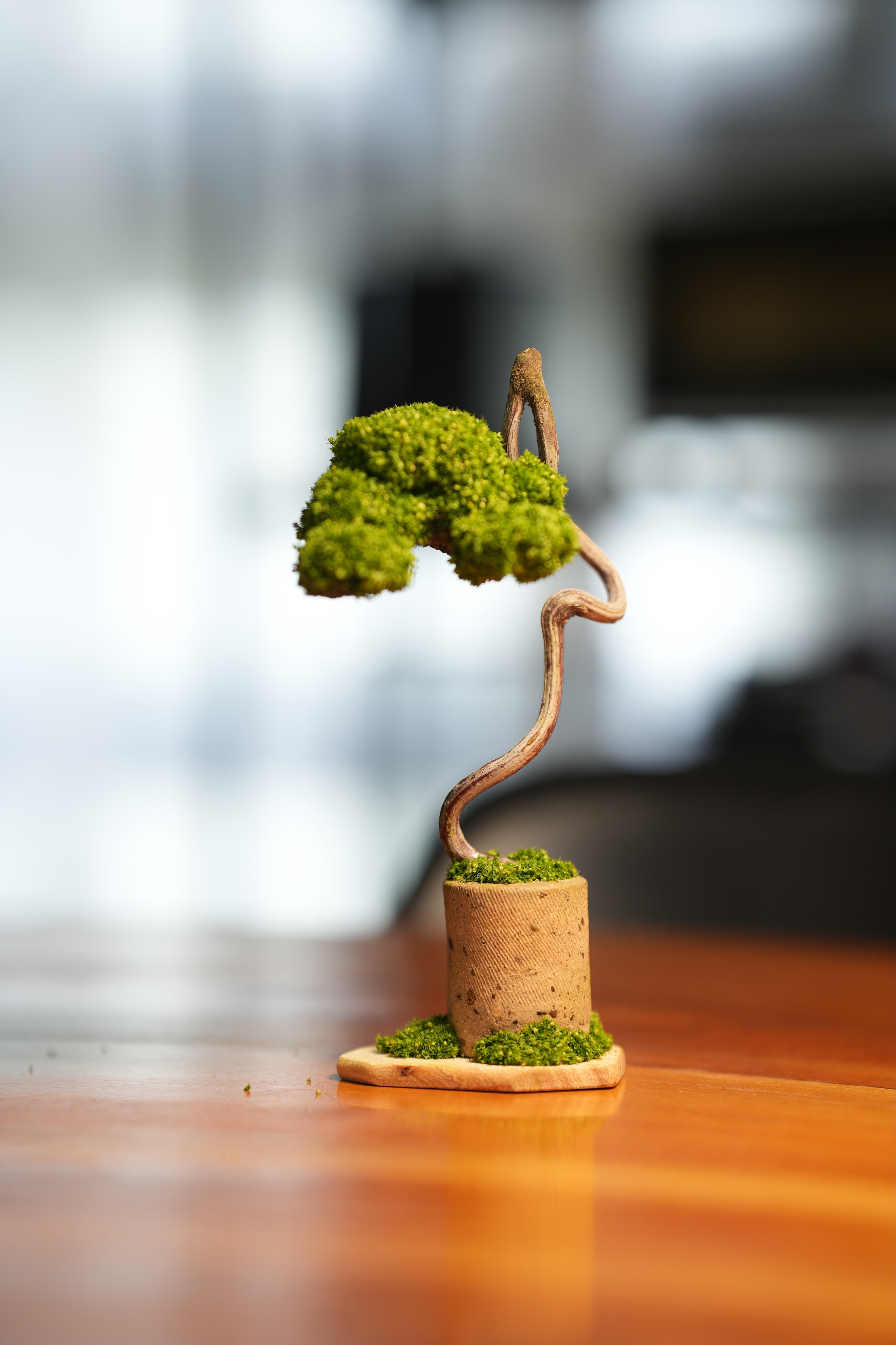 Small Tree in the East - Grace