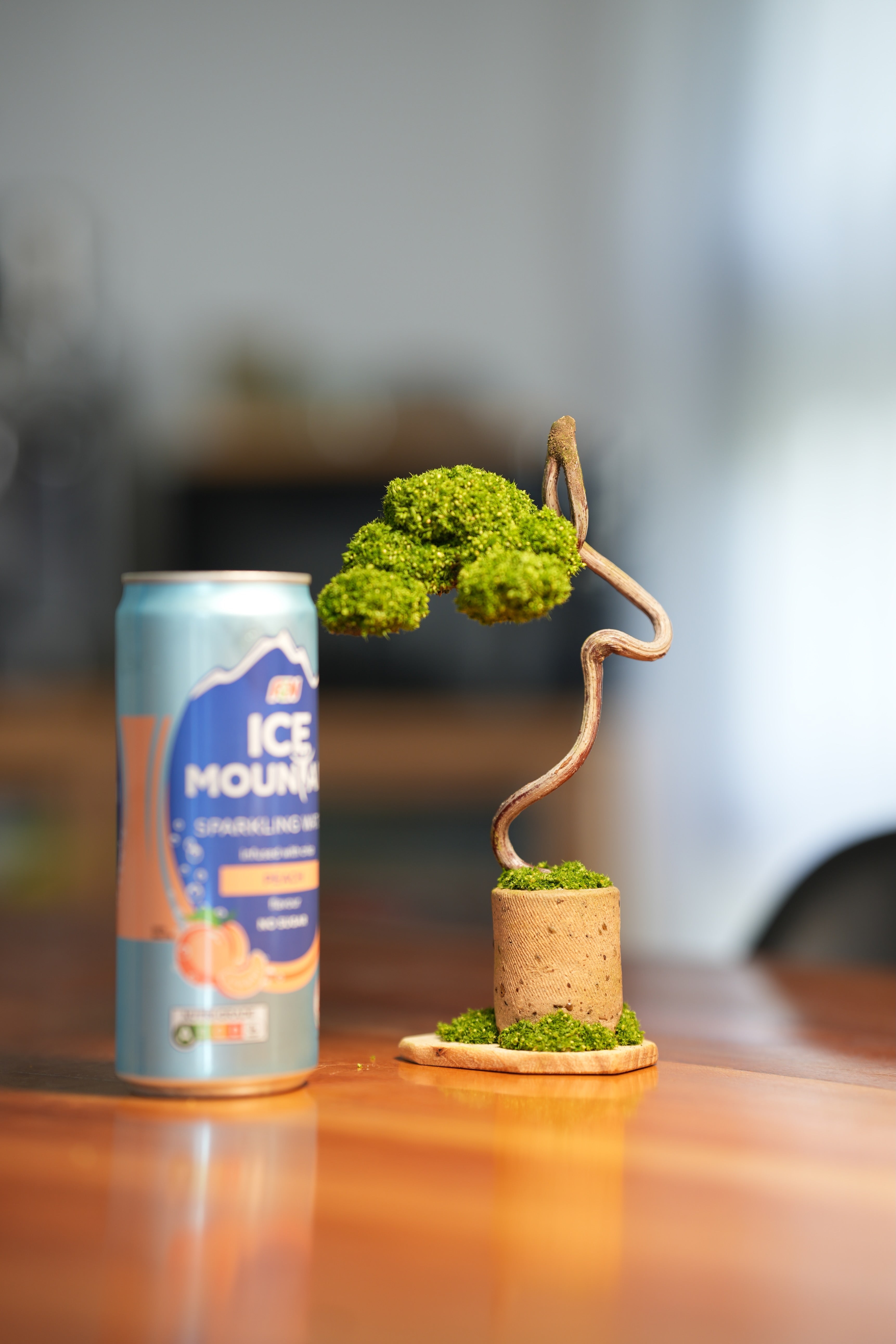 Small Tree in the East - Grace