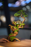 Blackwood Cliff - Rise - Benchmark