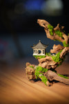 Blackwood Cliff