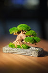 Slow Wood - Young - Anchor (Preserved Plants)