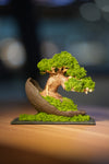 Slow Wood - Young - Half Moon (Preserved Plants)