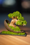 Slow Wood - Young - Half Moon (Preserved Plants)