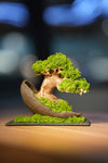 Slow Wood - Young - Half Moon (Preserved Plants)