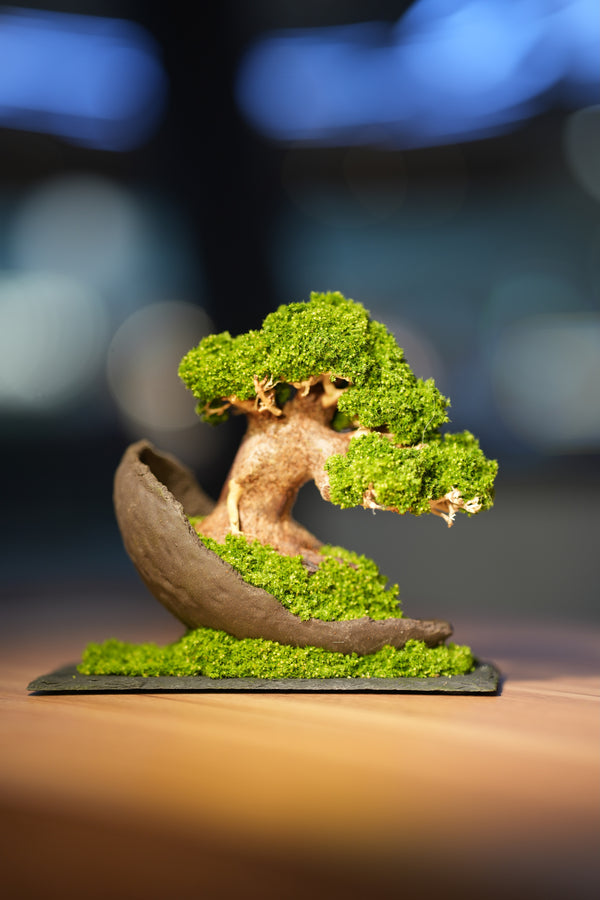 Slow Wood - Young - Half Moon (Preserved Plants)
