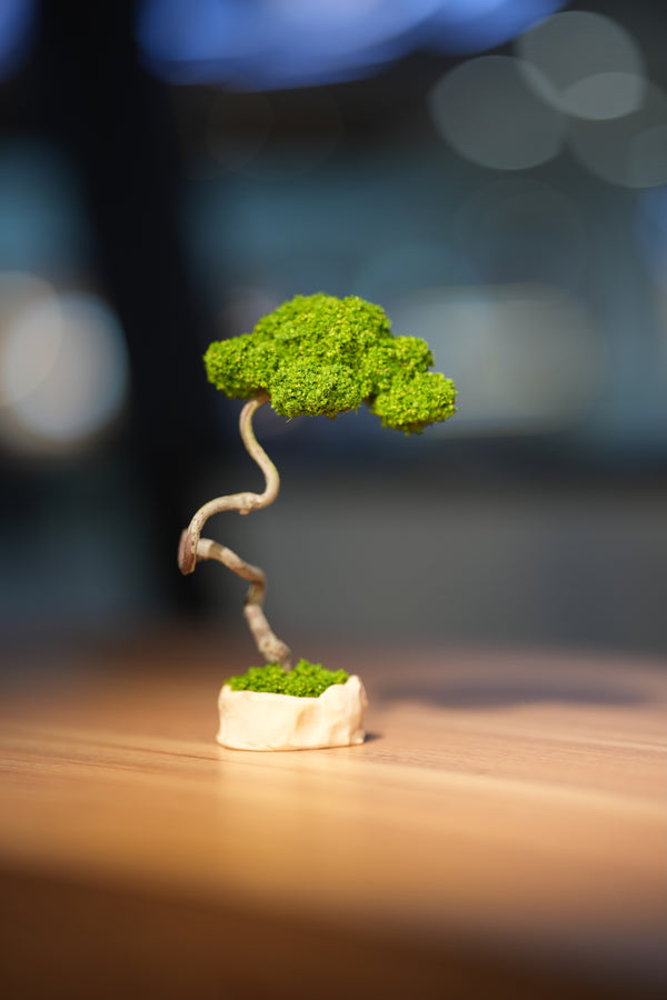 Small Tree in the East