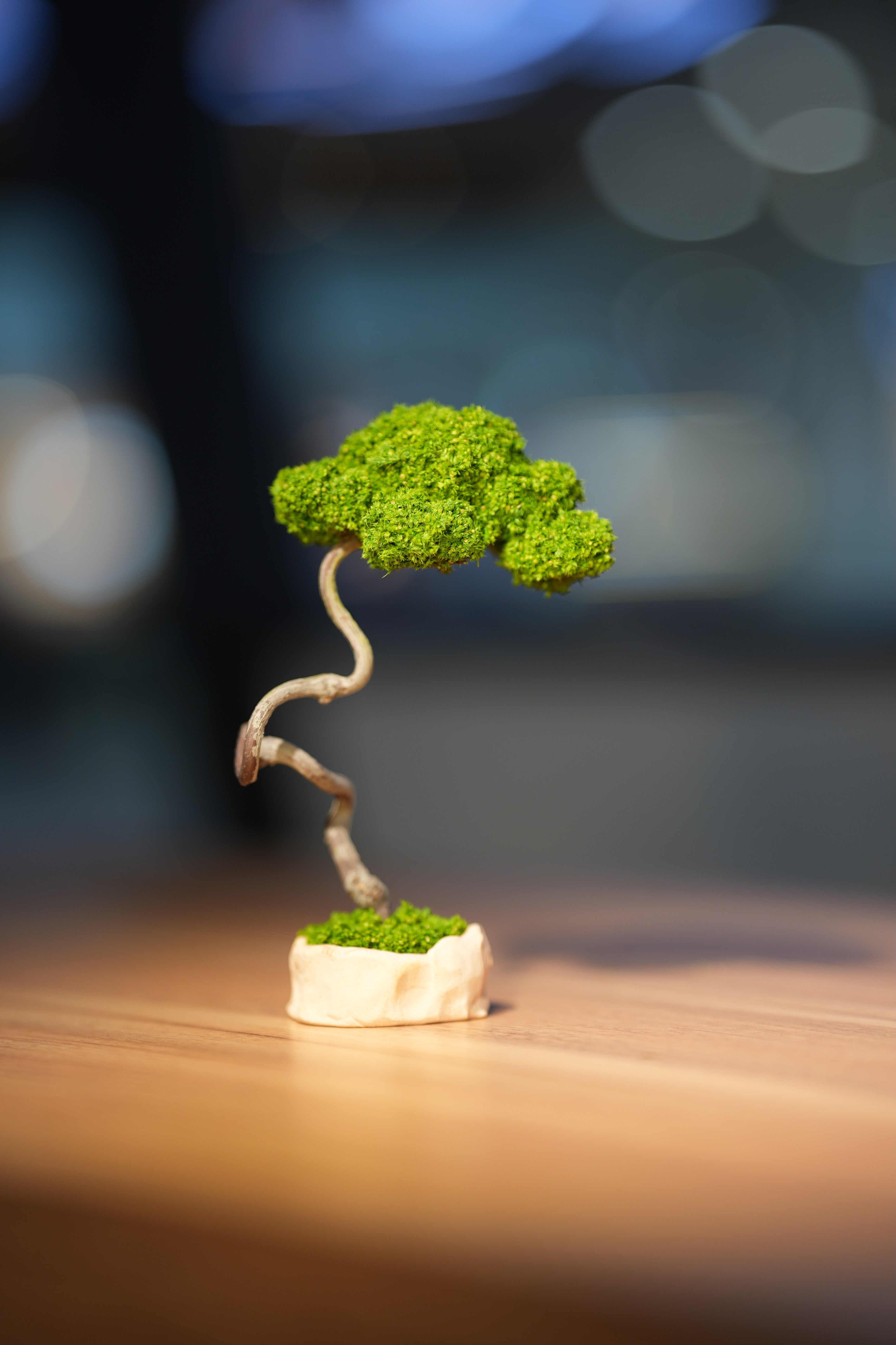 Small Tree in the East