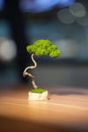 Small Tree in the East