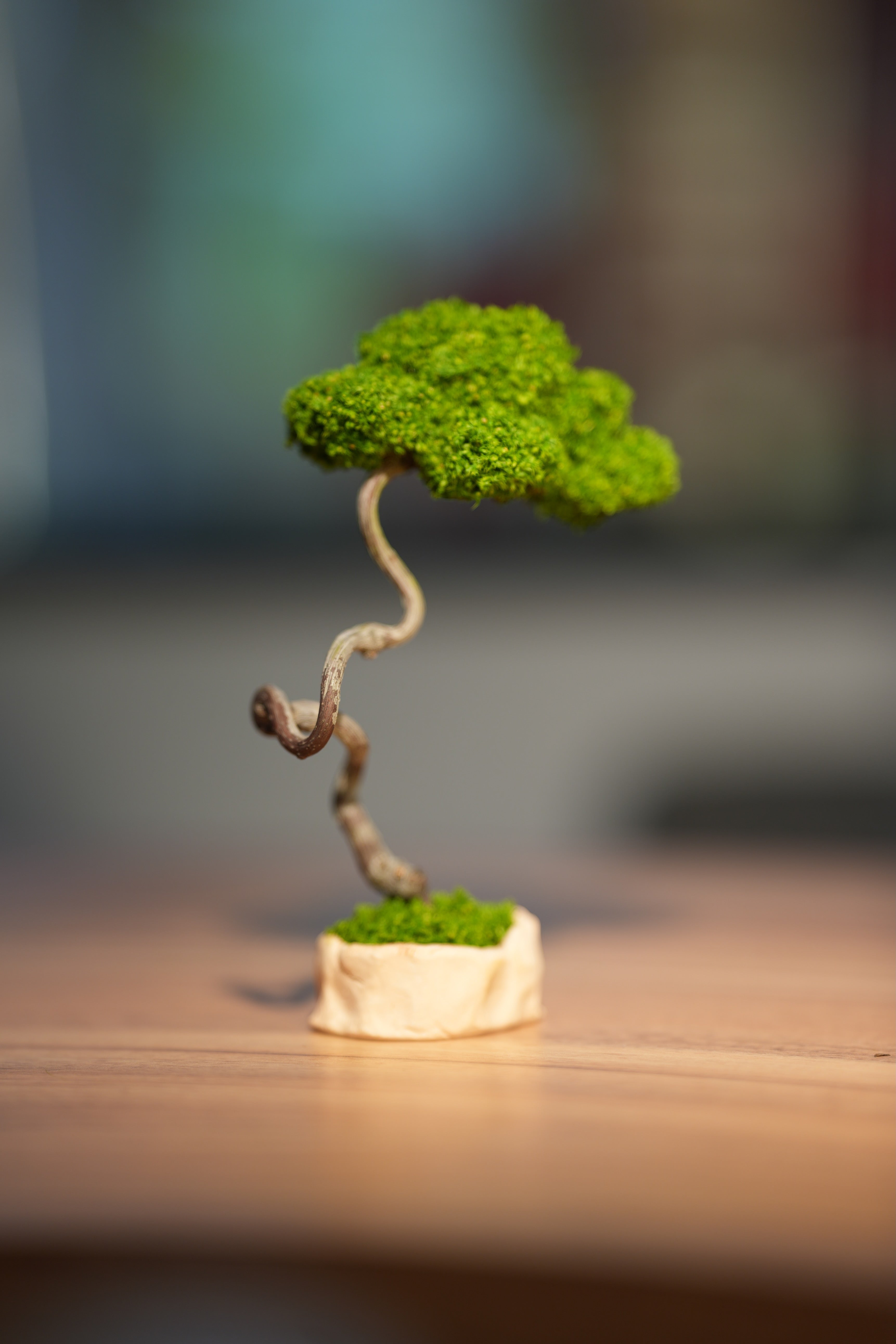 Small Tree in the East