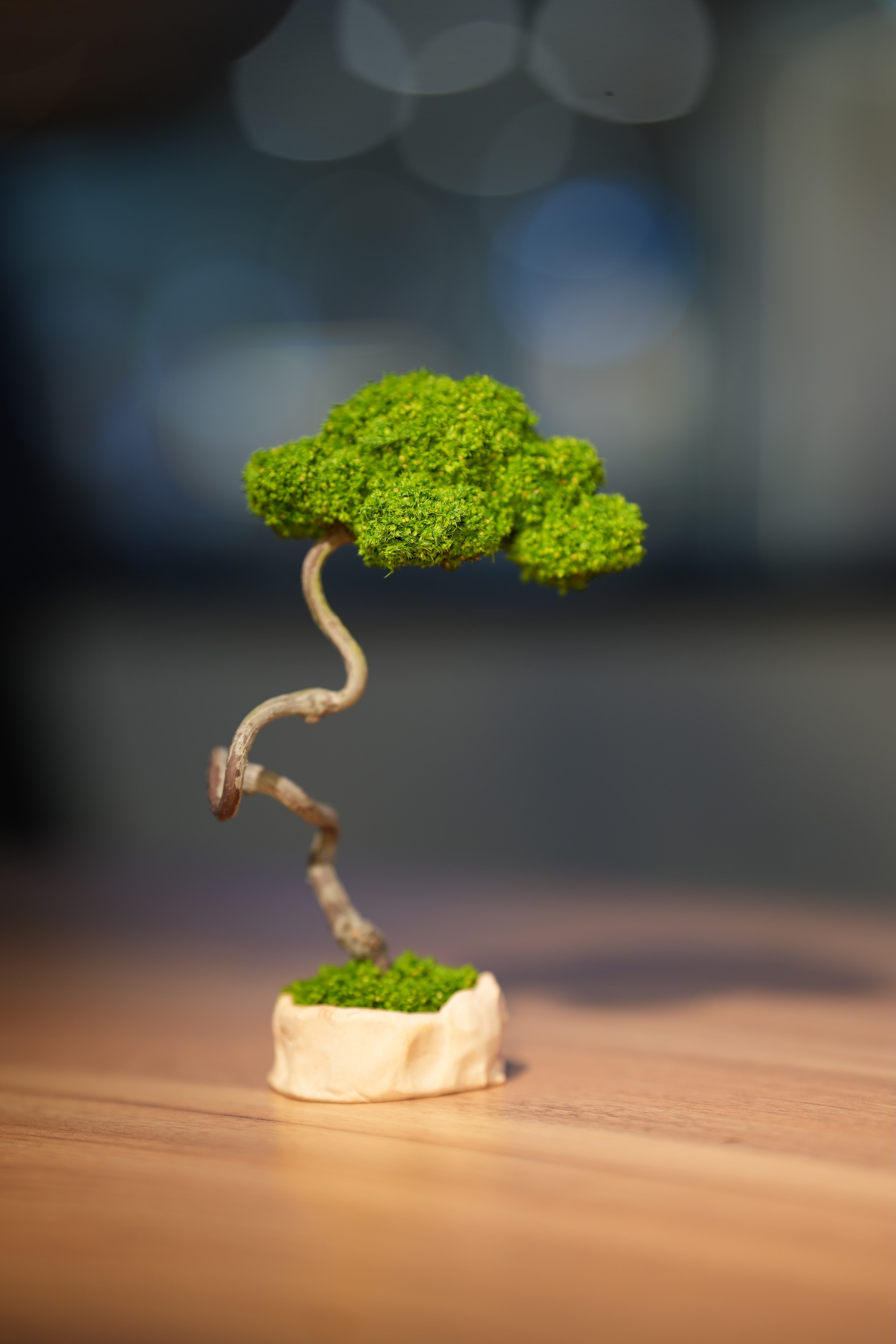 Small Tree in the East