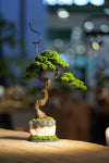 Rosewood - Poet of the Forest - Benchmark