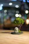 A Small Tree in the East - Journeyman