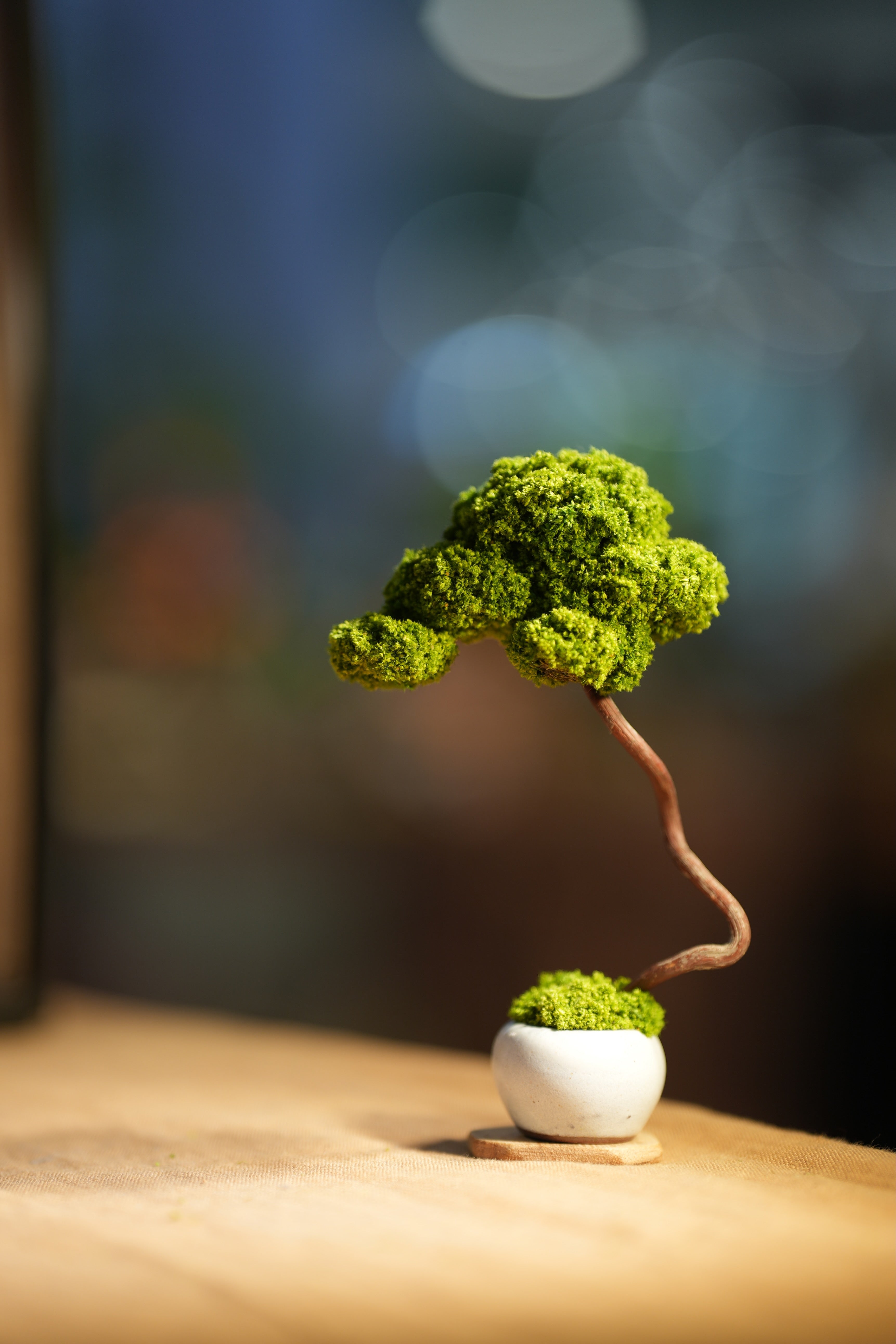 Small Tree in the East