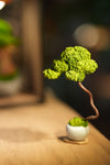 Small Tree in the East