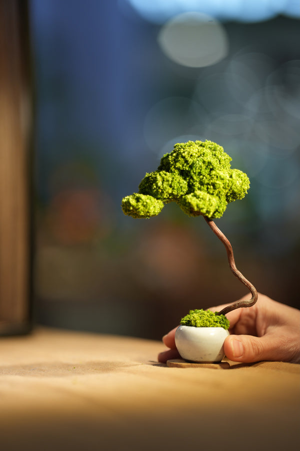 Small Tree in the East