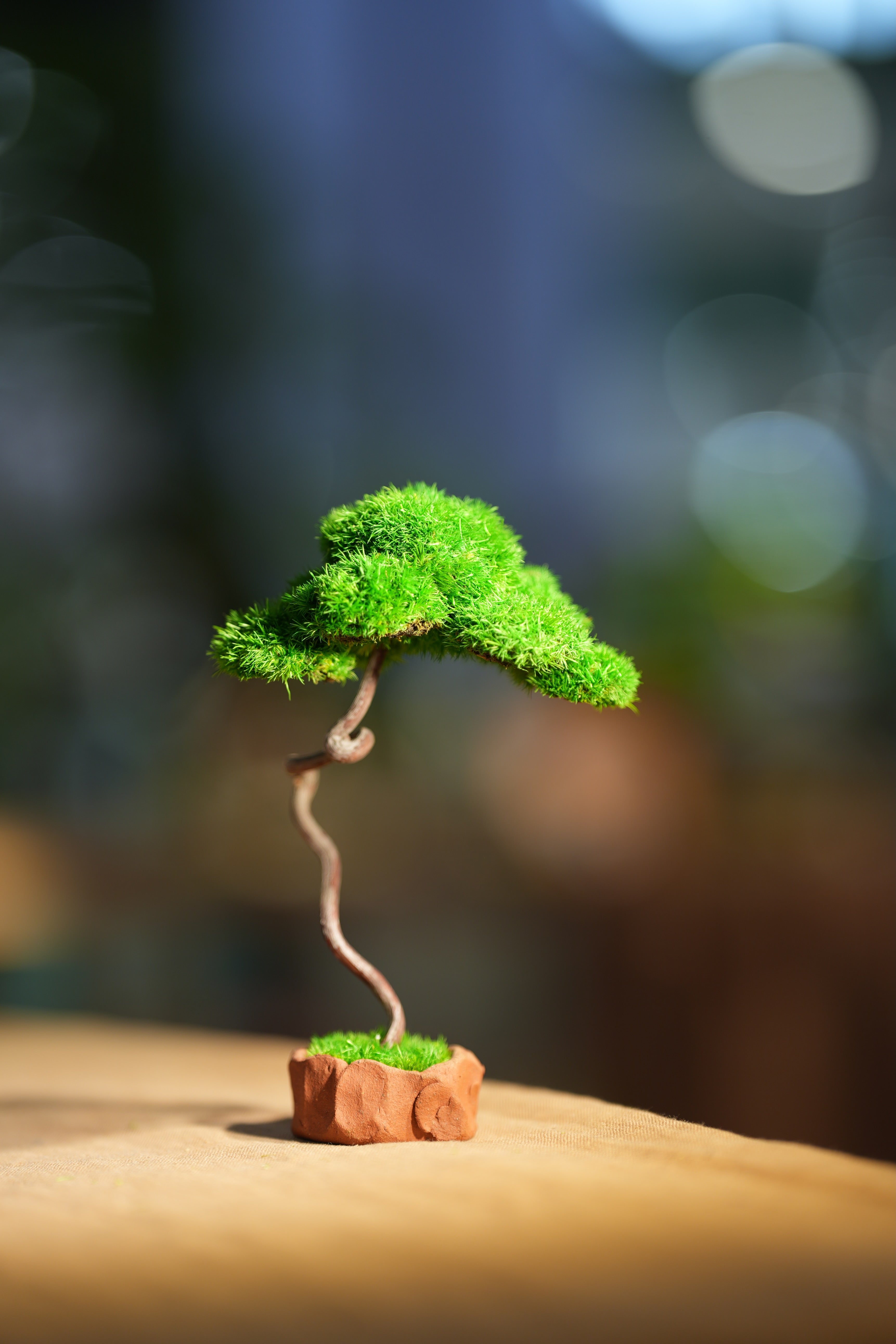 Small Tree in the East - Benchmark