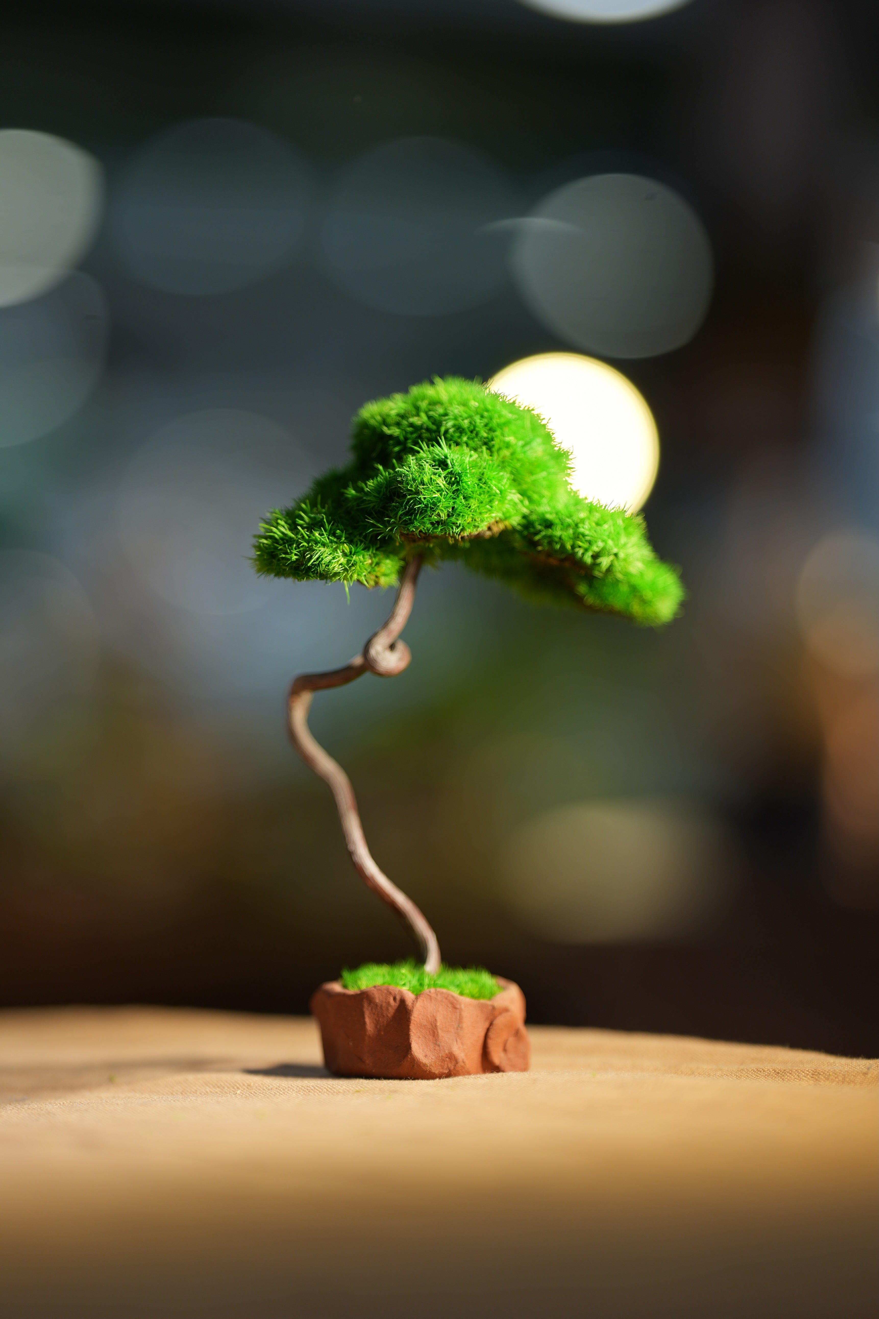 Small Tree in the East - Benchmark