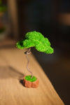 Small Tree in the East - Benchmark