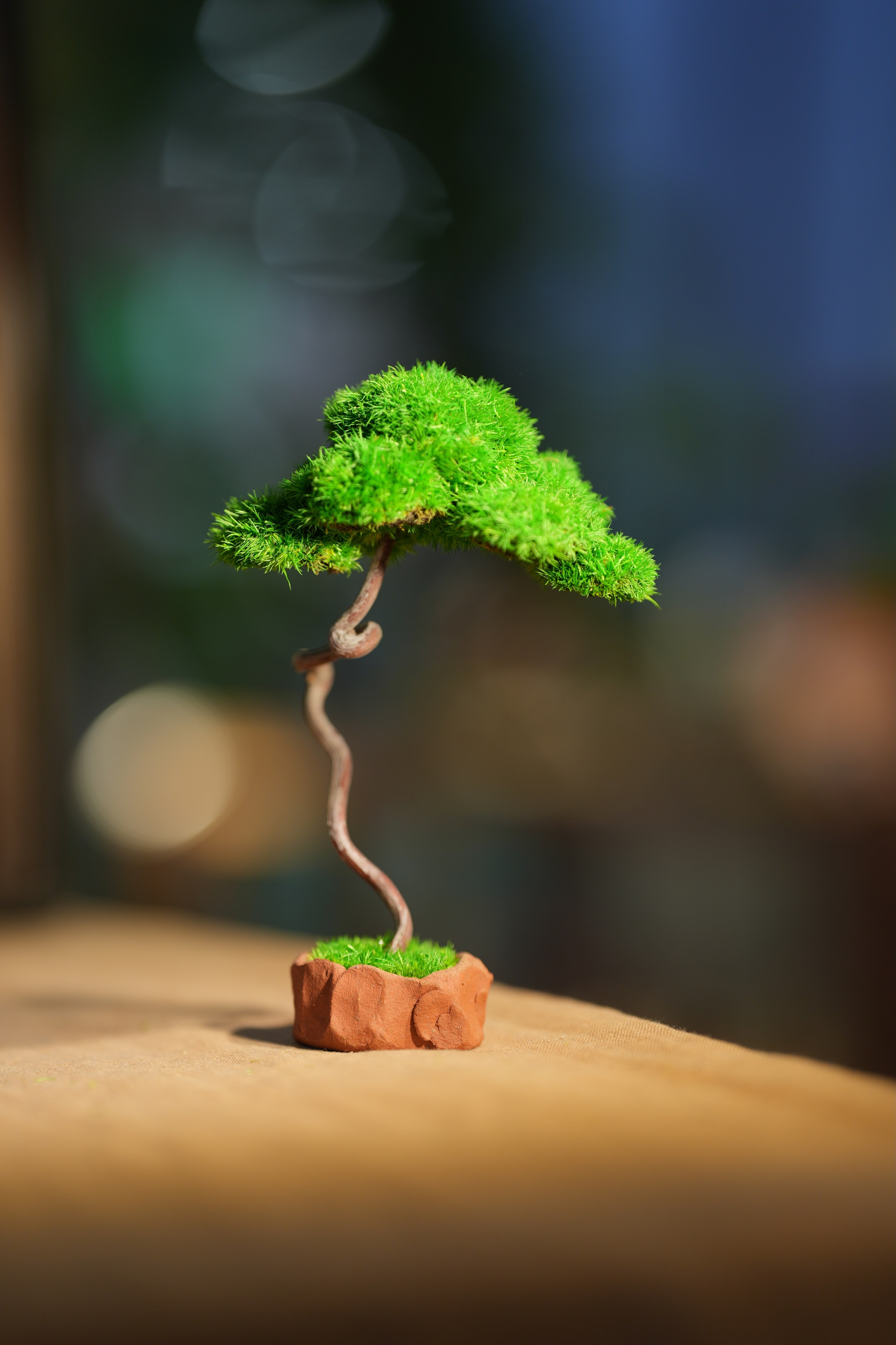 Small Tree in the East - Benchmark