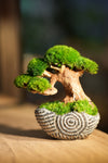 Slow Wood - Young - Spiral (Preserved Plants)