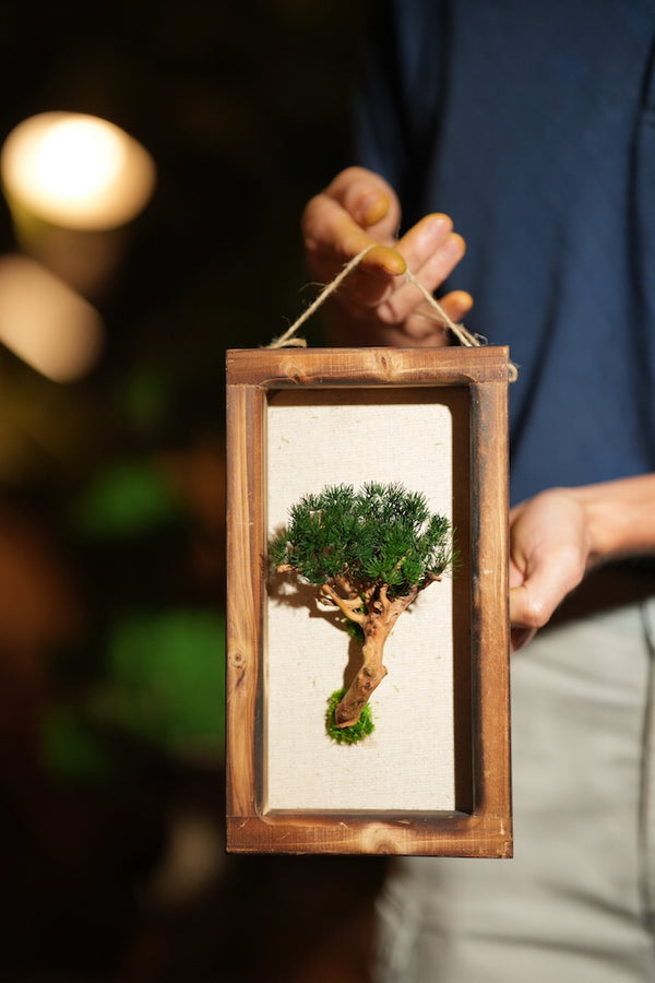 A Small Tree in the East - Wall Hanging edition (Preserved Plants)