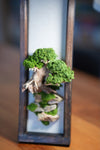 Slow Wood - Young - Wall Hanging edition