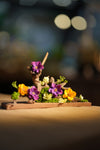 Children of the Forest - Driftwood Garden