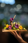 Children of the Forest - Driftwood Garden