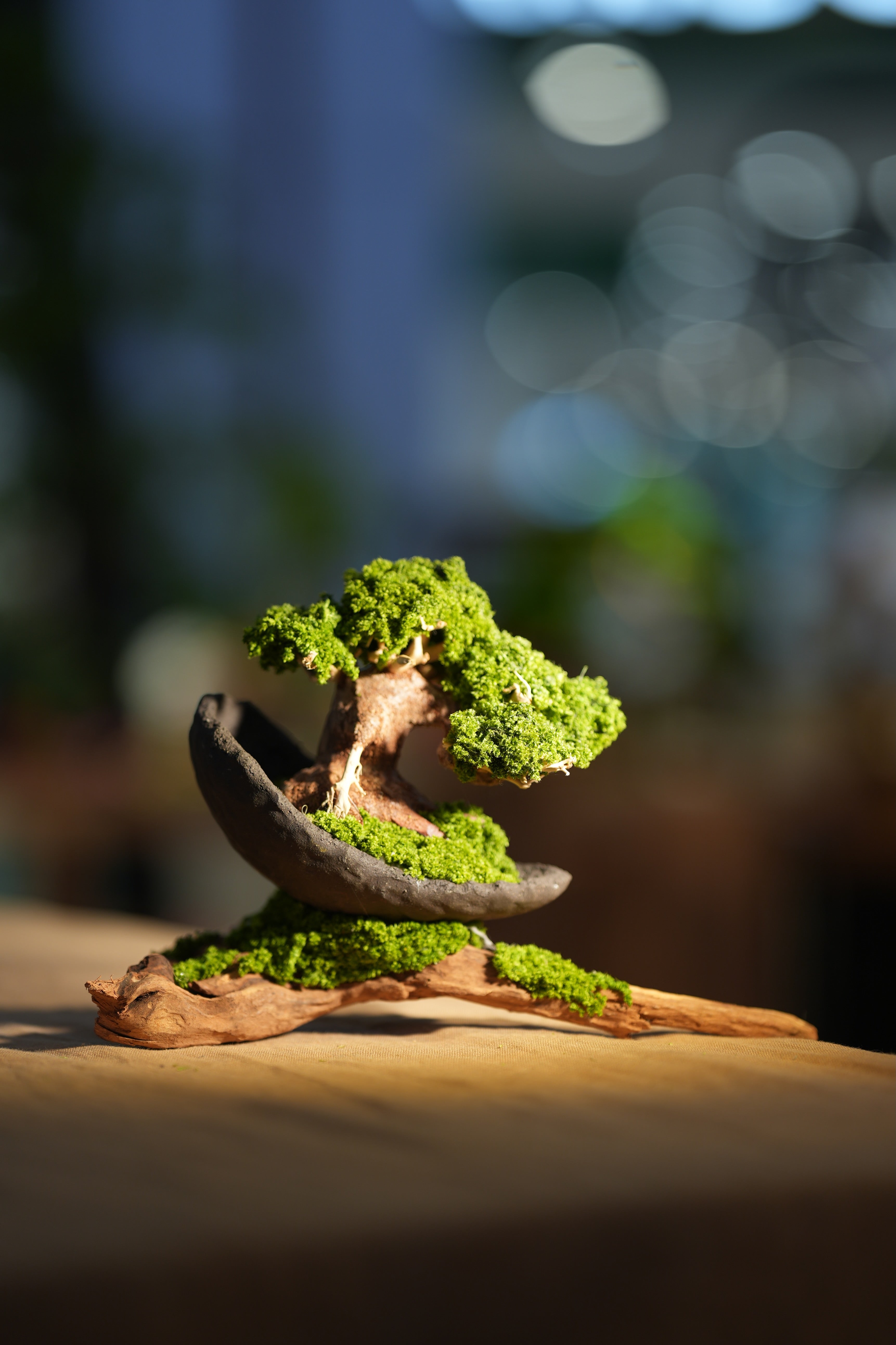 Slow Wood - Young - Half Moon - Driftwood