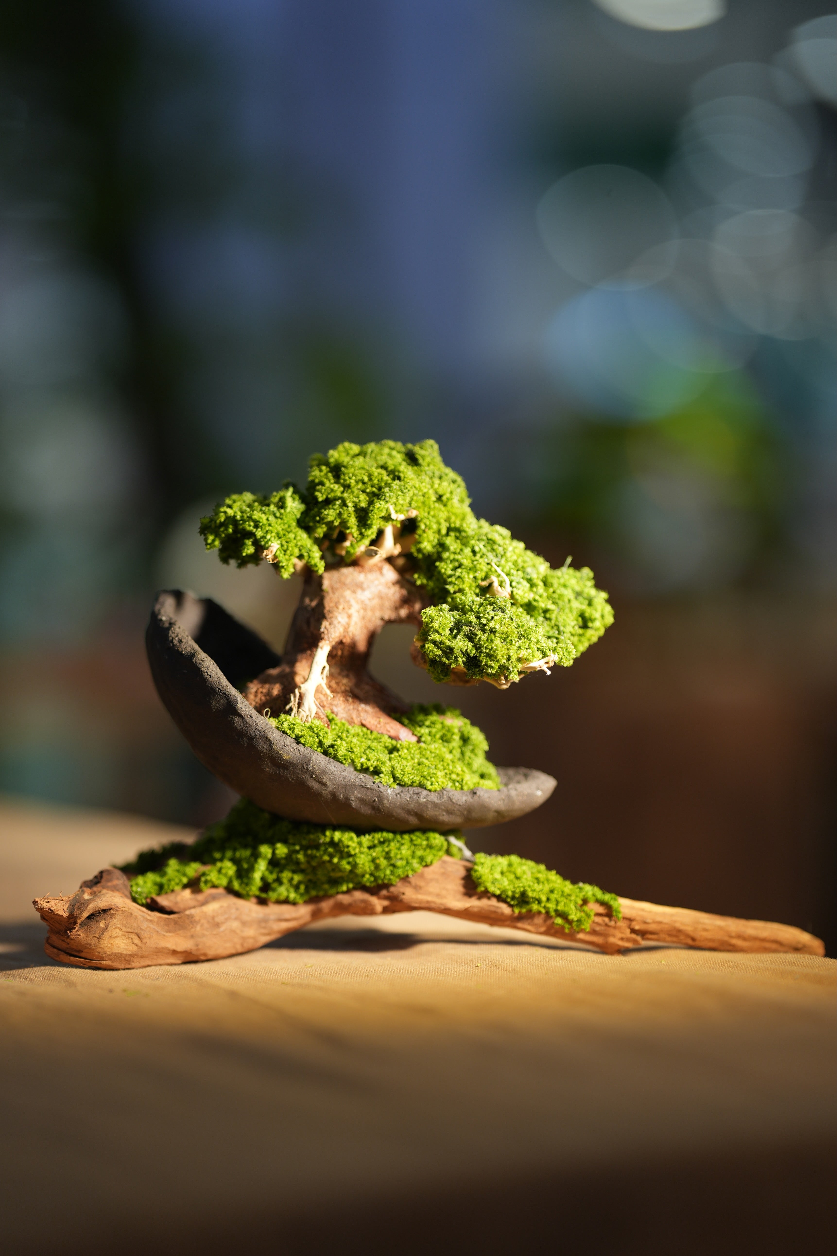 Slow Wood - Young - Half Moon - Driftwood