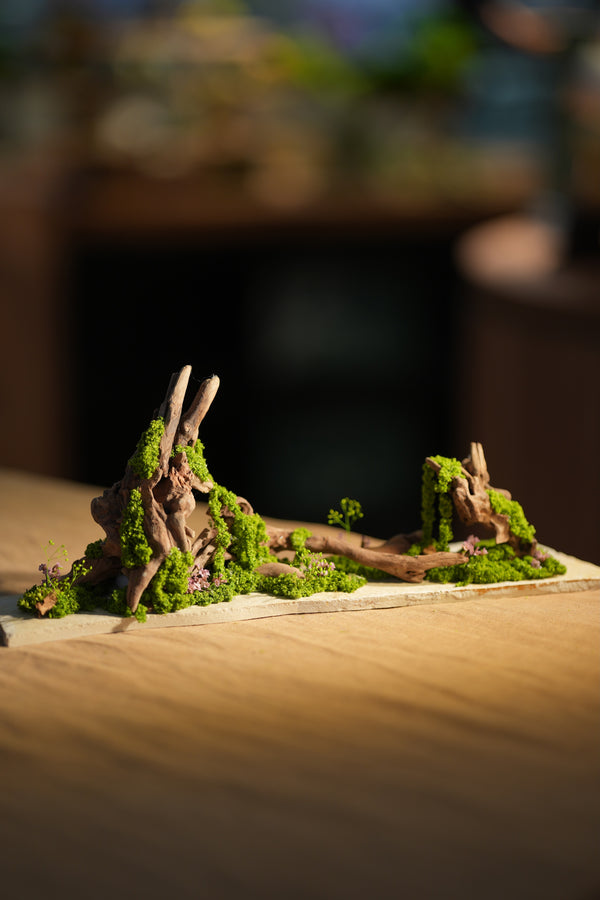 Angel's Landing - Driftwood