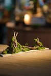 Angel's Landing - Driftwood