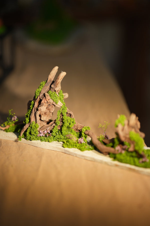 Angel's Landing - Driftwood