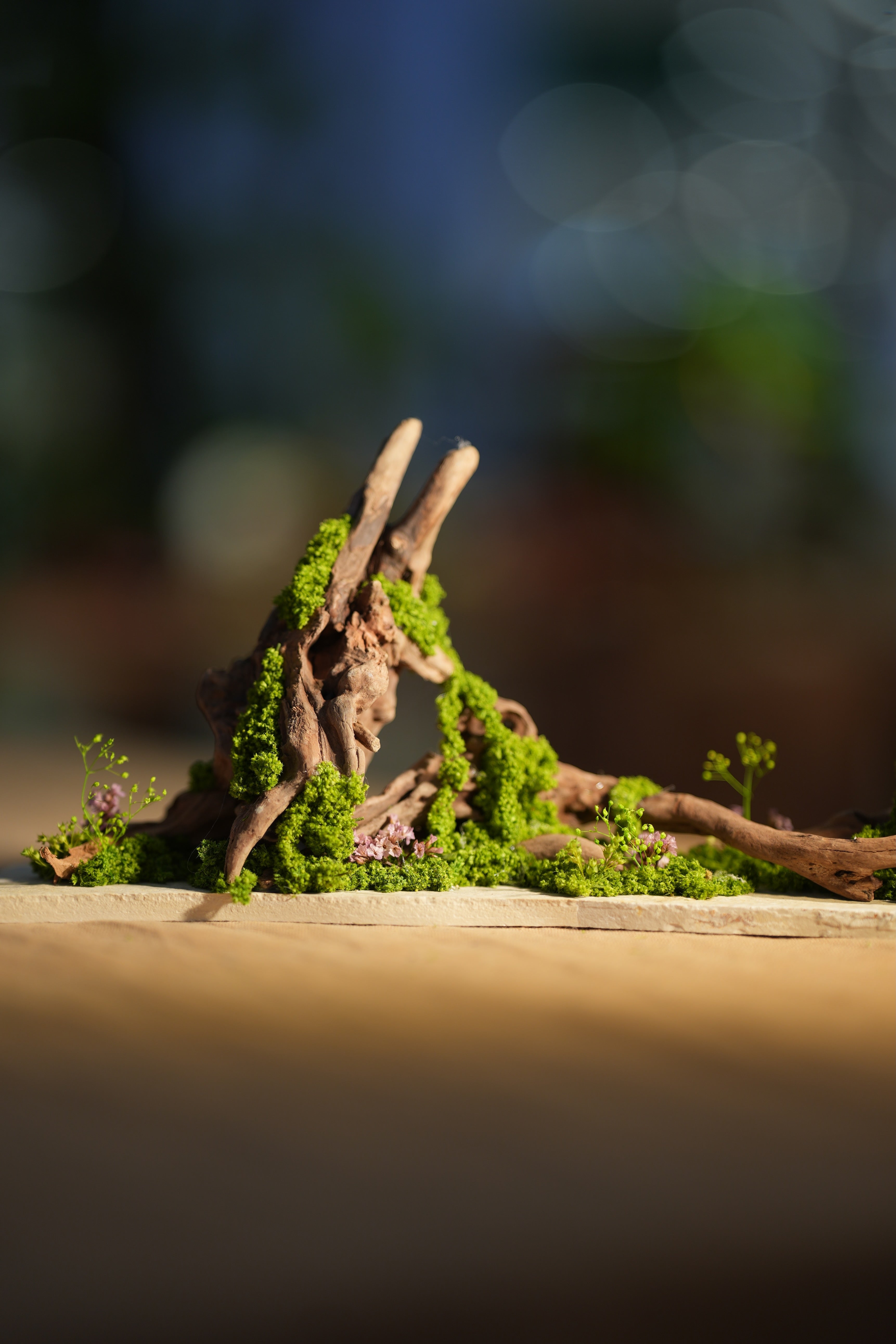 Angel's Landing - Driftwood