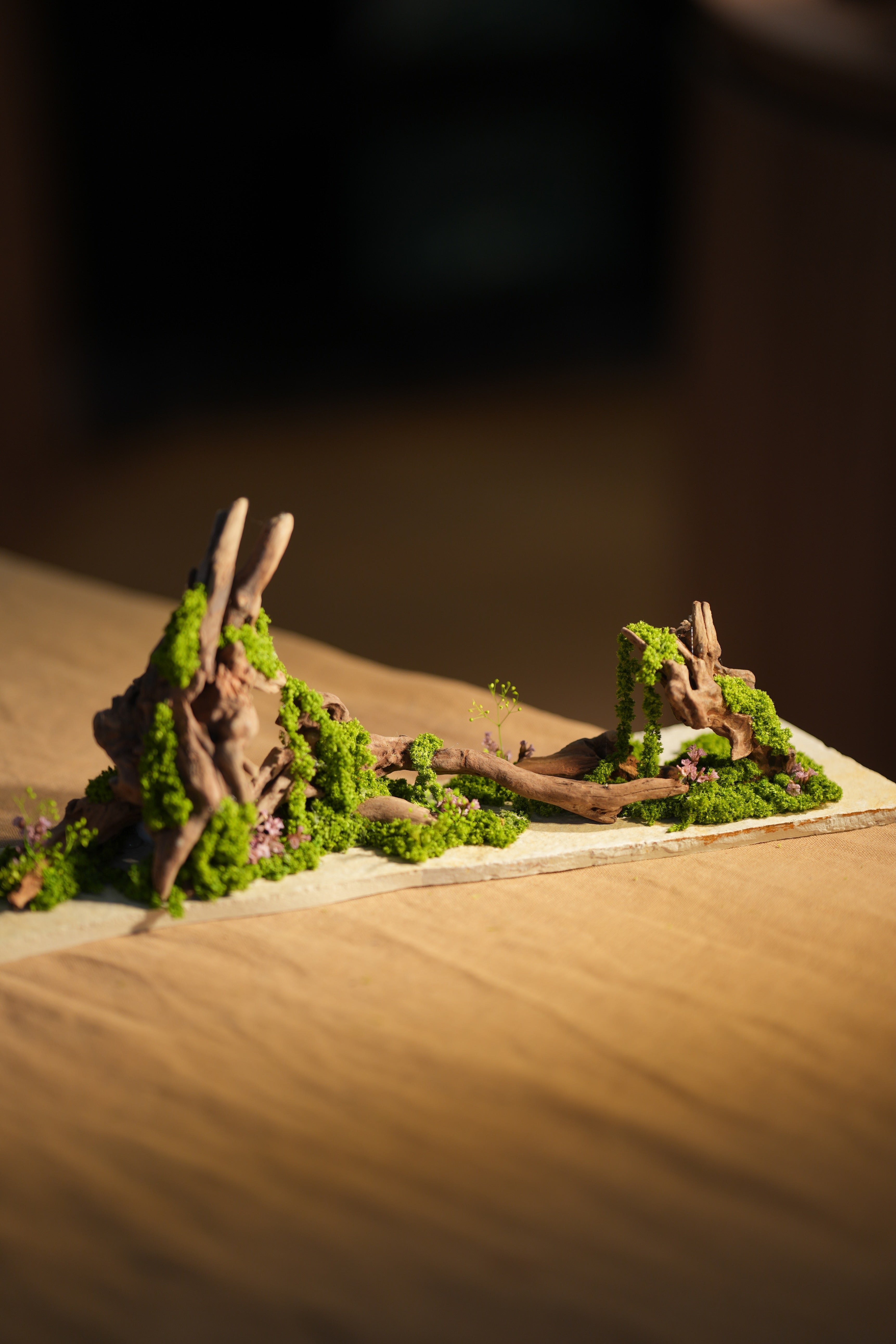 Angel's Landing - Driftwood