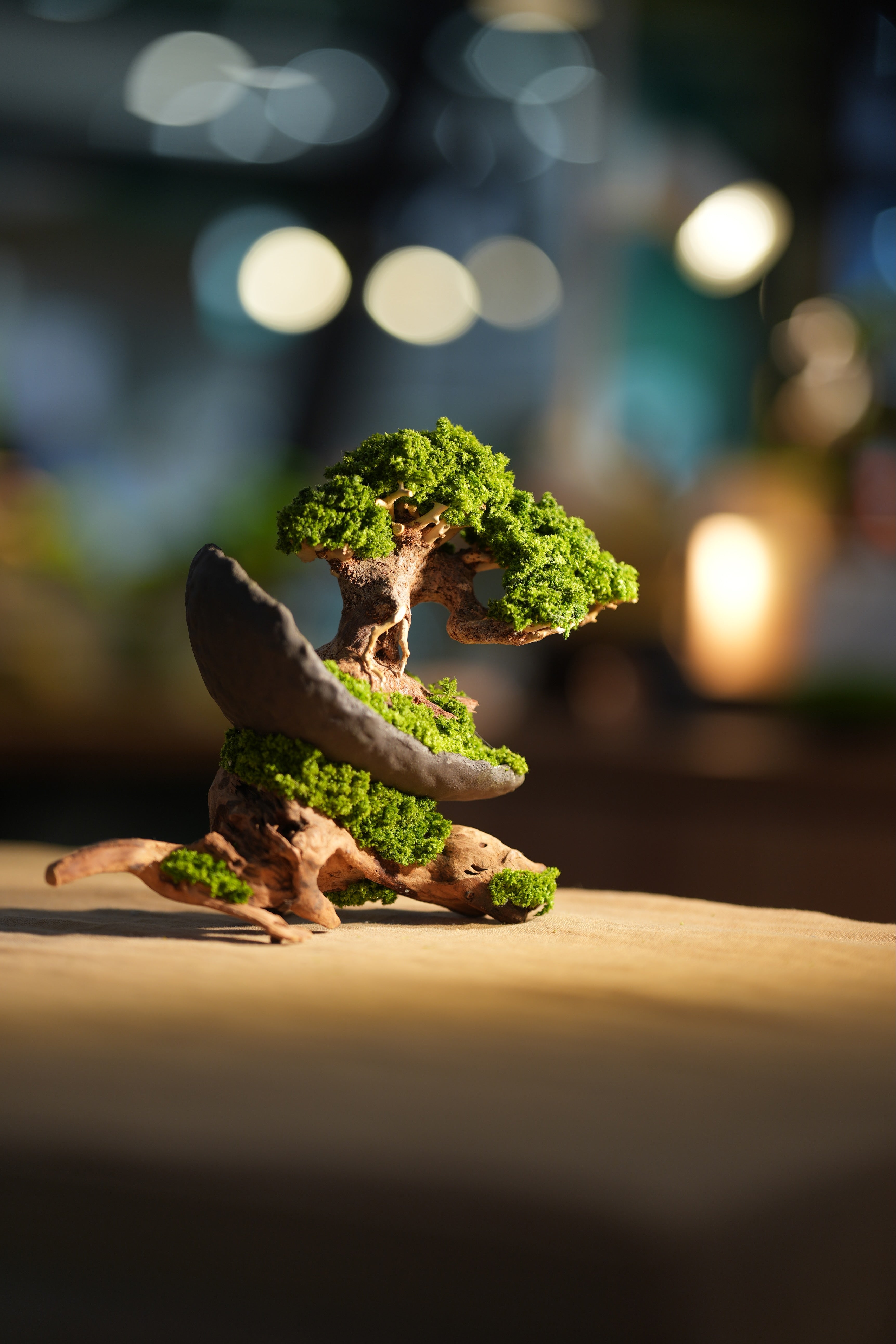 Slow Wood - Young - Half Moon - Driftwood