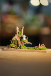 Angel's Landing (Smaller version)